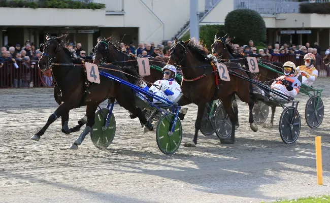 Ippica, Ippodromo Arcoveggio Bologna: giovedì 30 aprile otto corse di trotto, il clou è il Premio Mauro Bertocchi