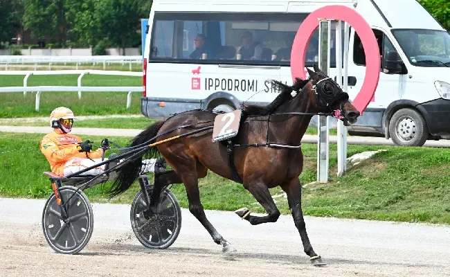 Ippica, Ippodromo Snai San Siro: “Breeder Course” nel martedì di trotto che premia In The Night Gar e Italo Jet
