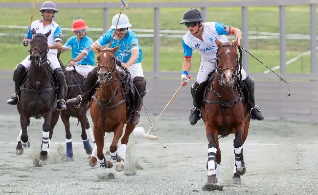 FIP Arena Polo European Championship: al via a Piazza di Siena la prima storica edizione