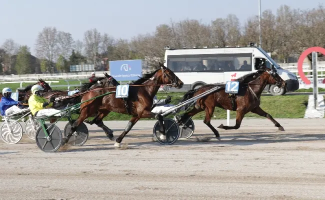 Ippica, all’Ippodromo Snai San Siro si chiude il maggio di trotto con la riunione di venerdì: in pista dalle ore 14:30
