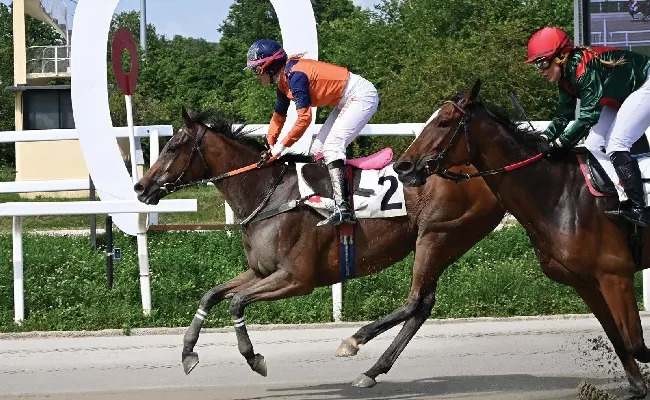 Ippica, nel mercoledì di galoppo all'Ippodromo Snai San Siro esulta Baby Anita che vince il Premio Terenzio Manili