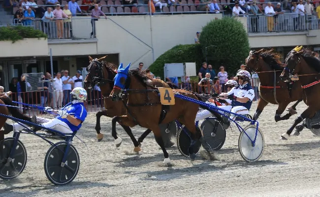 Ippica, Ippodromo di Bologna: domenica 31 maggio, all'Arcoveggio le due prove di selezione del Campionato Italiano Gentlemen e altre sei corse