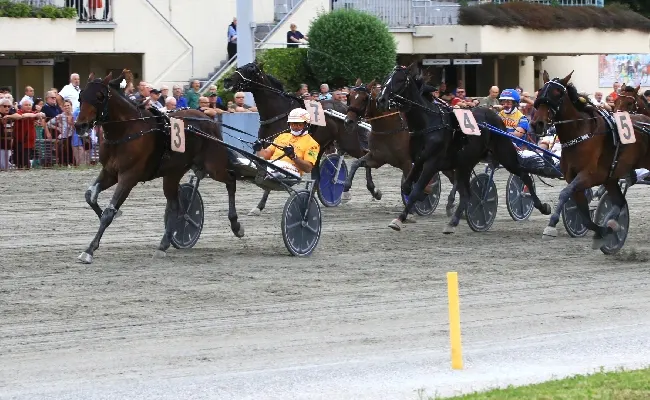 Ippica, Ippodromo di Bologna: martedì 2 giugno, luci accese per Il Gran Premio della Repubblica e per le altre sette corse in programma