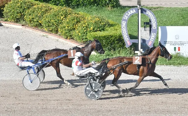 Ippica, alla prima di trotto di giugno all'Ippodromo Snai Sesana Indiana Pal Cav non tradisce e vince