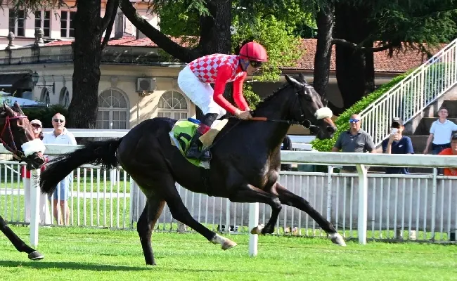 Ippica, la domenica in "rosa" all'Ippodromo Snai San Siro premia la tedesca Bella Sinfonia che si aggiudica il Premio del Giubileo