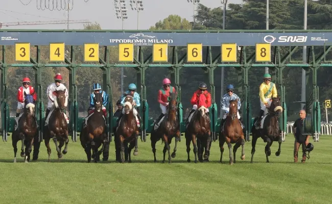 Ippica, giovedì di galoppo all’Ippodromo Snai San Siro con in pista sei corse a partire dalle ore 19:15