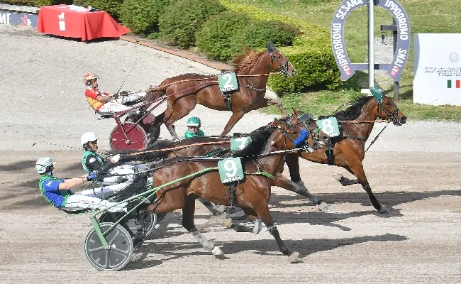 Ippica, all’Ippodromo Snai Sesana sabato sera con Icaro Mail che vola alto nel Premio Scuderia Valle Verde