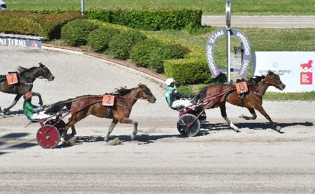 Ippica, il giovedì di trotto all’Ippodromo Snai Sesana parte dalle ore 19:25 con sette corse: al centro la Tris-Quartè-Quintè valida per il Premio Scuderia Cupolone