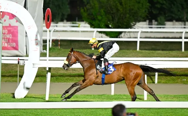 Ippica, Ippodromo Snai San Siro: martedì di galoppo con il jockey Dario Di Tocco che cala il poker di vittorie, tra cui il Premio Boffalora