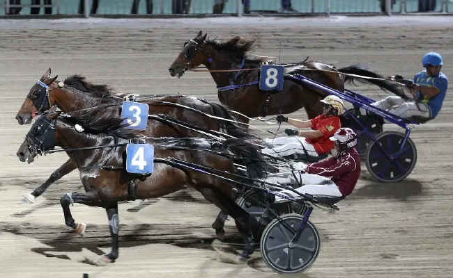 Ippodromo di Cesena: sabato 20 giugno, dalle 20:45 sette corse all'insegna della velocità