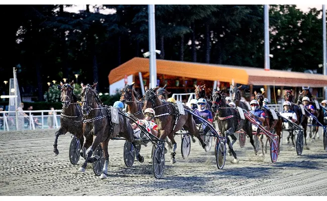 Ippica, Ippodromo di Cesena: martedì 23 giugno clou per quattro anni. Altre sei corse completano il cartellone dalle 20:45
