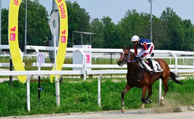 Ippica, martedì all’Ippodromo Snai San Siro nuova giornata di galoppo: otto corse al via dalle ore 18:55