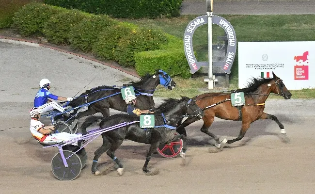Ippica, Ippodromo Snai Sesana: nel lunedì di trotto Indiana di Casei vince il Premio Scuderia Red Alef