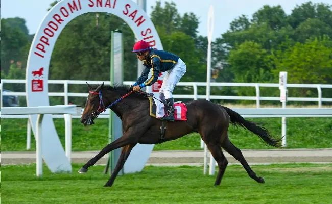 Ippica, Ippodromo Snai San Siro: Sax Impact protagonista nel martedì sera di galoppo