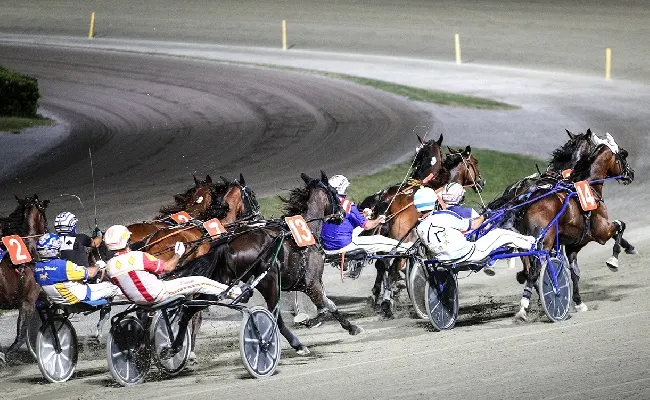 Ippica, Ippodromo Cesena Trotto: il resoconto delle corse di martedì 23 giugno