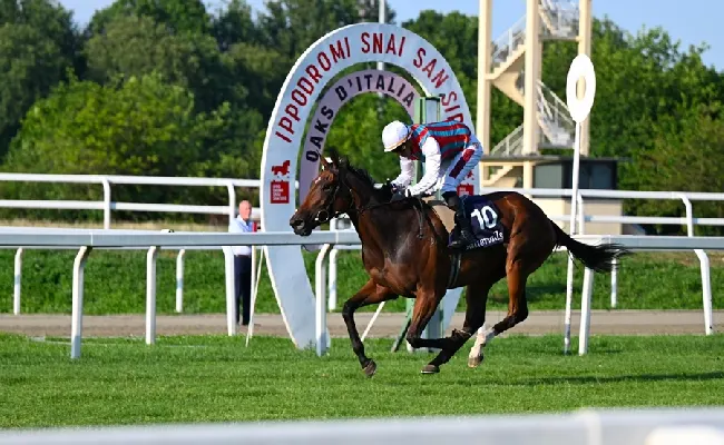 Ippica, super sabato all’Ippodromo Snai San Siro con i Primi Passi, il Premio Estate, il Trenno e il Gp d’Italia