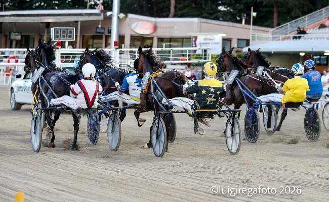Ippica, Ippodromo di Cesena: sabato 27 giugno sette corse dalle 20.45 con il Premio Summertrade
