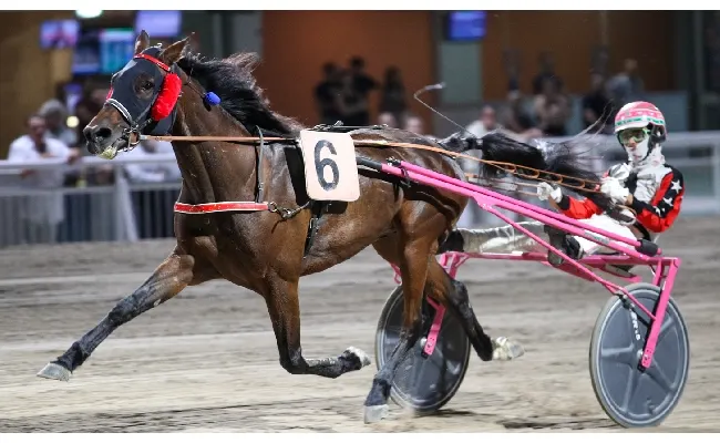 Ippica, Ippodromo di Cesena: resoconto delle corse di sabato 27 giugno 2026