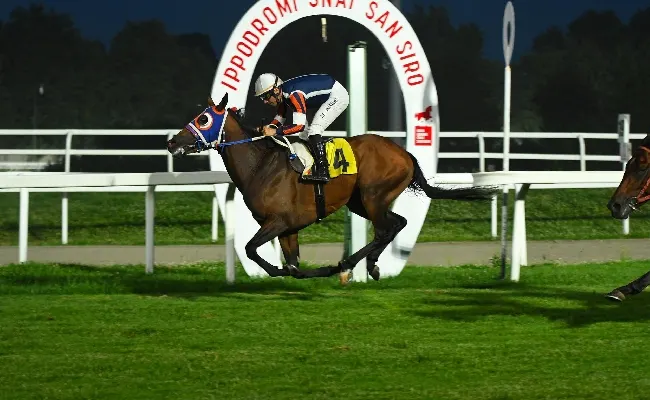 Ippica, Ippodromo Snai San Siro: Antiqua Mare vince il Premio Estate nel sabato sera di galoppo