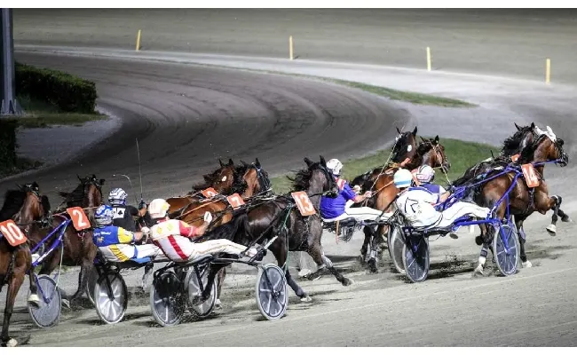 Ippica, Ippodromo di Cesena: martedì 30 giugno, corsa Tris al centro del convegno. Il programma propone sette corse con inizio alle 20:45