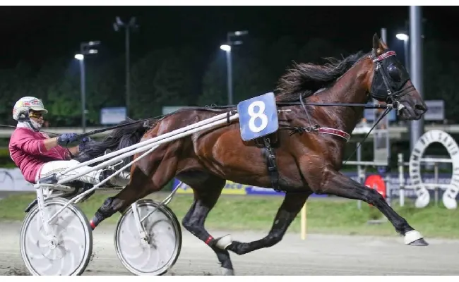 Ippica, Ippodromo di Cesena: sabato 4 luglio con il Gran Premio Riccardo Grassi, il Savio ospita la prima "classica" della stagione
