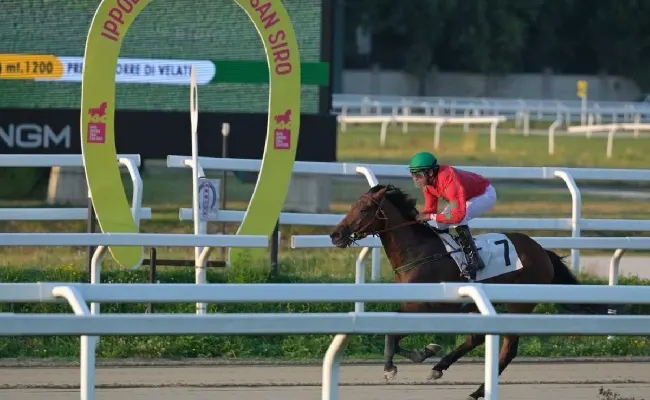 Ippica, il martedì sera di galoppo all’Ippodromo Snai San Siro nel segno di Mwaki e di Dothan che vincono le due prove sulla sabbia più interessanti ereditate da Varese