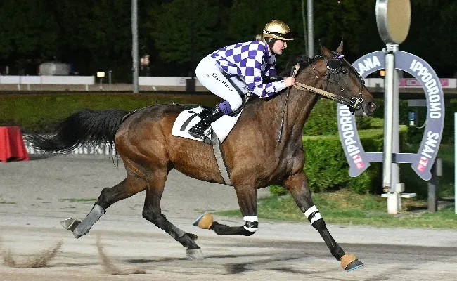 Ippica, all’Ippodromo Snai Sesana il 1° luglio di trotto con protagonista Indianfire Wf nel "triplete" di Roberto Vecchione