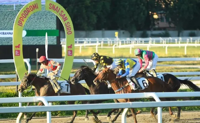 Ippica: all’Ippodromo Snai San Siro bel sabato di galoppo in notturna con Vega Dawn e Badger’s Cove, protagonisti negli handicap di classe 4 sui 2.100 e 1.500 metri