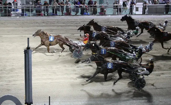 Ippica, Ippodromo di Cesena: Elise Ana si aggiudica il GP Grassi 2026