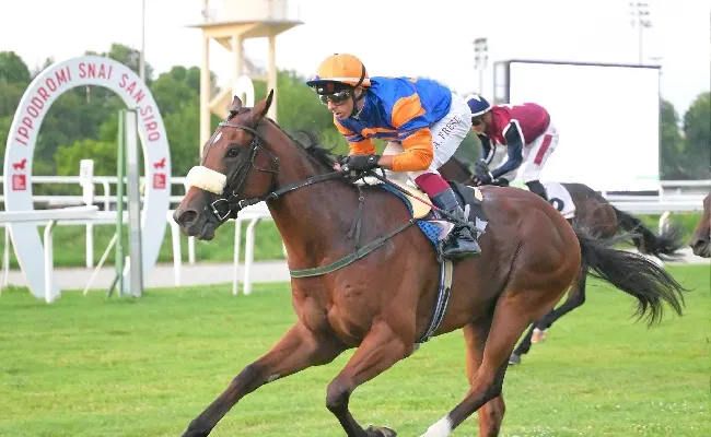 Ippica, Ippodromo Snai San Siro: nel martedì di galoppo, Niente Scuse vince nel Premio Giuseppe De Montel e Give You My Love fa suo il Mantovani
