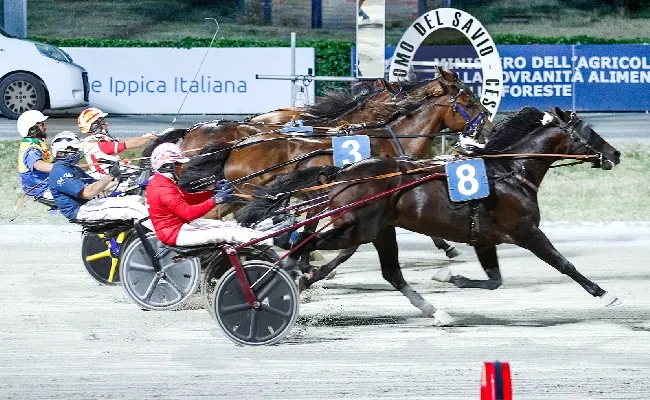Ippica, Ippodromo di Cesena: Tomaso Grassi Drivers Award, la semifinale del 7 luglio qualifica Pettinari. Bat Host vola nel centrale