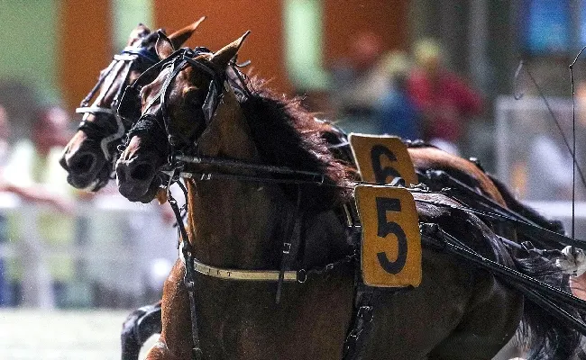 Ippica, Ippodromo di Cesena: venerdì è la serata dei gentlemen, il clou è il Premio Fattoria Nicolucci