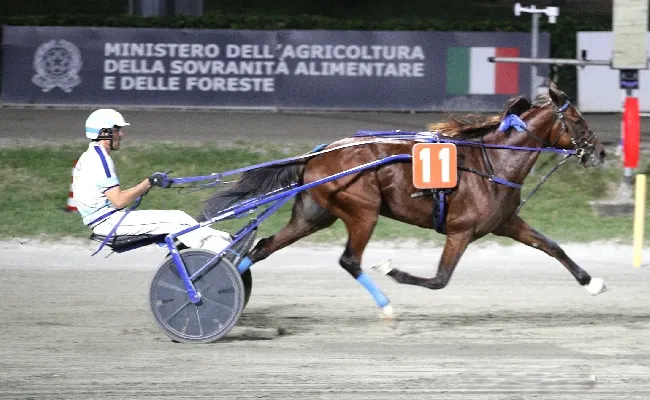 Ippica, Ippodromo di Cesena: domani torna la Tris al Savio con il Premio ANIOC