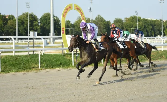 Ippica, all’Ippodromo Snai San Siro il martedì di galoppo prima della pausa estiva è nel segno di Anthaia che la spunta nel Premio Città di Napoli