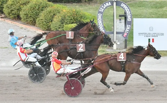 Ippica, doppio appuntamento con il trotto all’Ippodromo Snai Sesana. Si inizia venerdì sera con la 17^ giornata