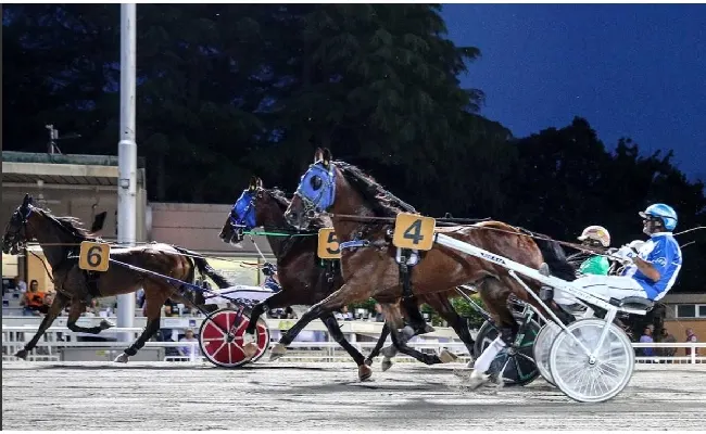 Ippica, Ippodromo di Cesena: venerdì 17 luglio, sette corse dalle 20:45. Il clou è il Premio Loreto per quattro anni