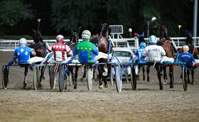 Ippica, Ippodromo di Cesena: sabato 18 luglio clou per ottimi tre anni. Le corse iniziano alle 20:45