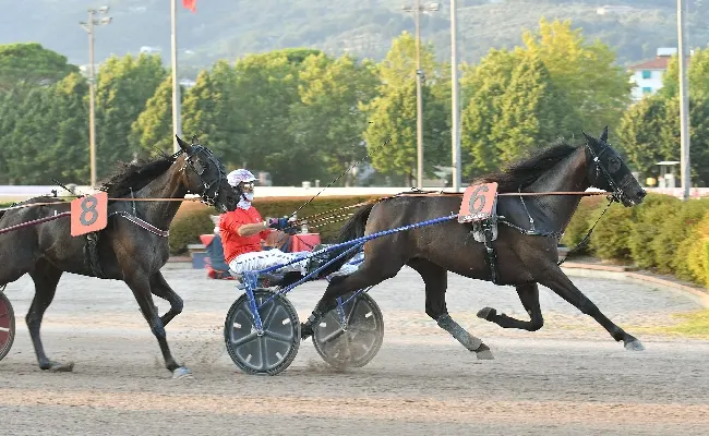 Ippica, domenica di trotto all’Ippodromo Snai Sesana: Gran Premio Società Terme al ritrovato Inimitable