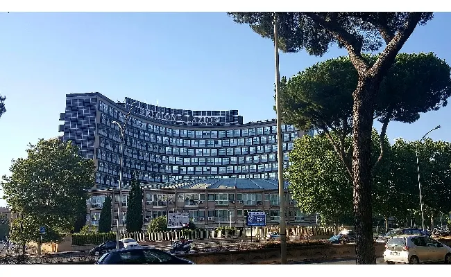 Contrasto al gioco patologico, aperte le candidature per Osservatorio dipendenze della Regione Lazio