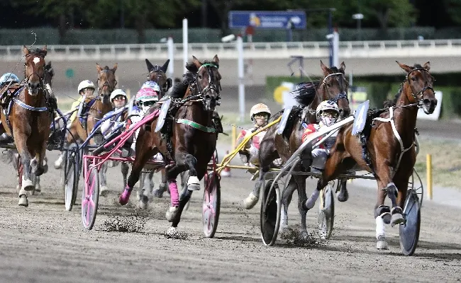 Ippica, Ippodromo di Cesena: sabato 25 luglio, "clou" con gli allevatori della Romagna