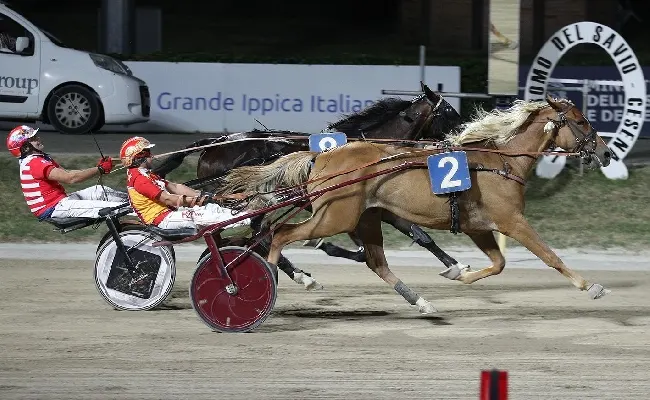 Ippodromo di Cesena: resoconto delle corse di venerdì 24 luglio 2026