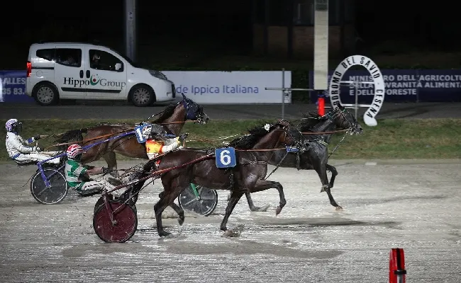 Ippica, Ippodromo Cesena Trotto: il resoconto delle corse di sabato 1° agosto