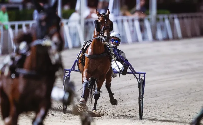 Ippodromo di Cesena: martedì 11 agosto, sette corse nel nome della solidarietà. Inizio alle 20:45