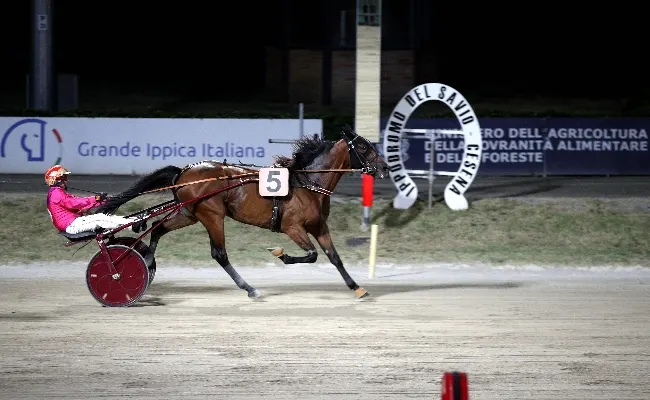Ippica, Ippodromo di Cesena: resoconto delle corse di martedì 11 agosto 2026