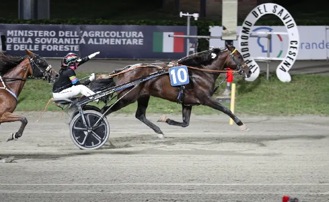 Ippica, Ippodromo di Cesena: sabato 15 agosto gentlemen in pista per il Master Annamaria Grassi