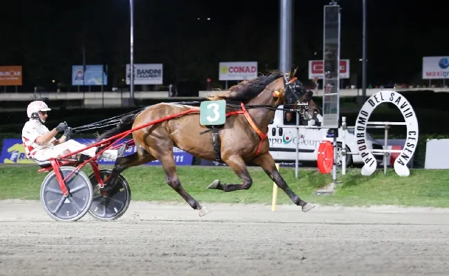 Ippica, Ippodromo di Cesena: martedì 18 agosto, Finalissima Tomaso Grassi Drivers Award, la sfida tra i driver con race off finale