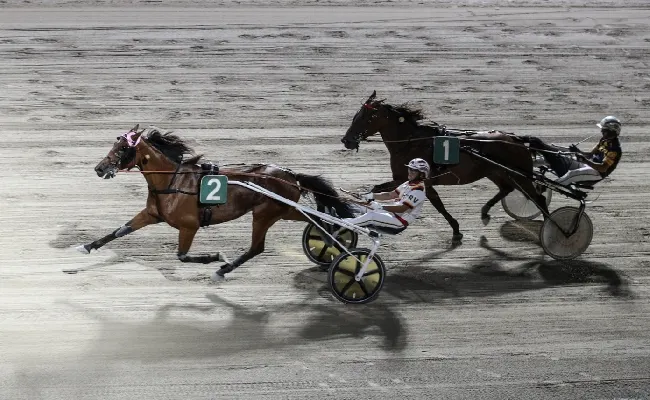 Ippica, Ippodromo di Cesena: Roberto Vecchione vince il Tomaso Grassi Drivers Award 2026
