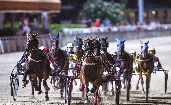 Ippica, Ippodromo Cesena: venerdì 21 agosto spicca il Premio Giuseppe Garibaldi