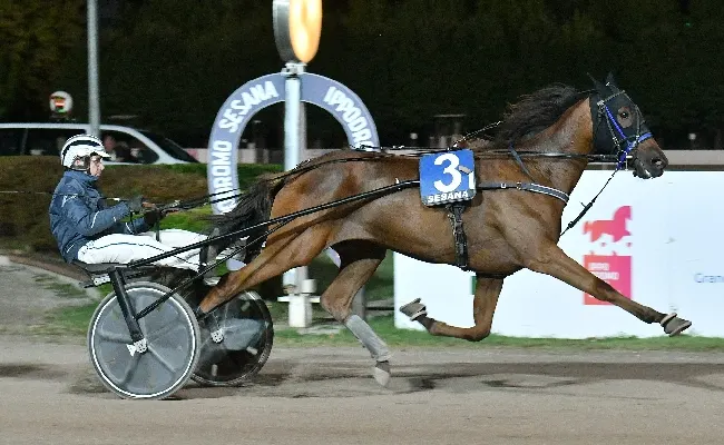 Ippica, all’Ippodromo Snai Sesana sabato di trotto pieno di emozioni con Minnucci che in pista ricorda Varenne e con Irold che si conferma nel Premio dedicato a Sari Del Rosso