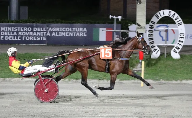 Ippica, Ippodromo di Cesena: martedì 25 agosto cavalli in pista per la serata Teleromagna dalle 20:45